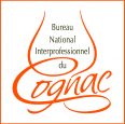 logo-BNIC logo-BNIC
